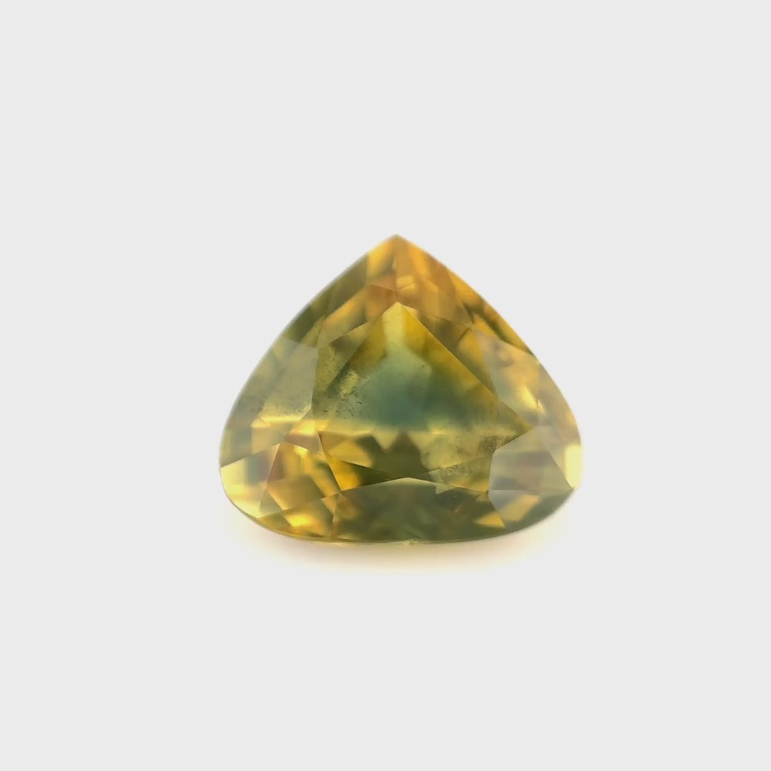 Parti-Saphir - 3.12 ct | Waldlicht im Spätsommer