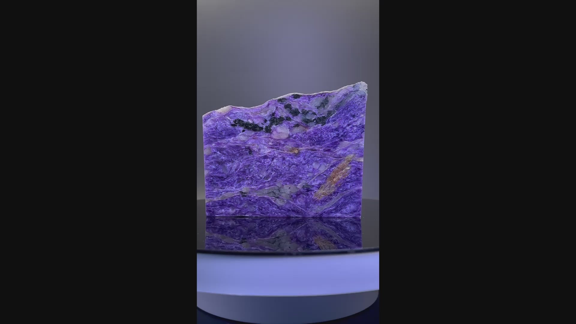 Intensiver, seidiger Charoit (337 g) mit Aegirin & Tinaksit, einseitig poliert, Old Stock – Edelsteinkabinett.Schweiz