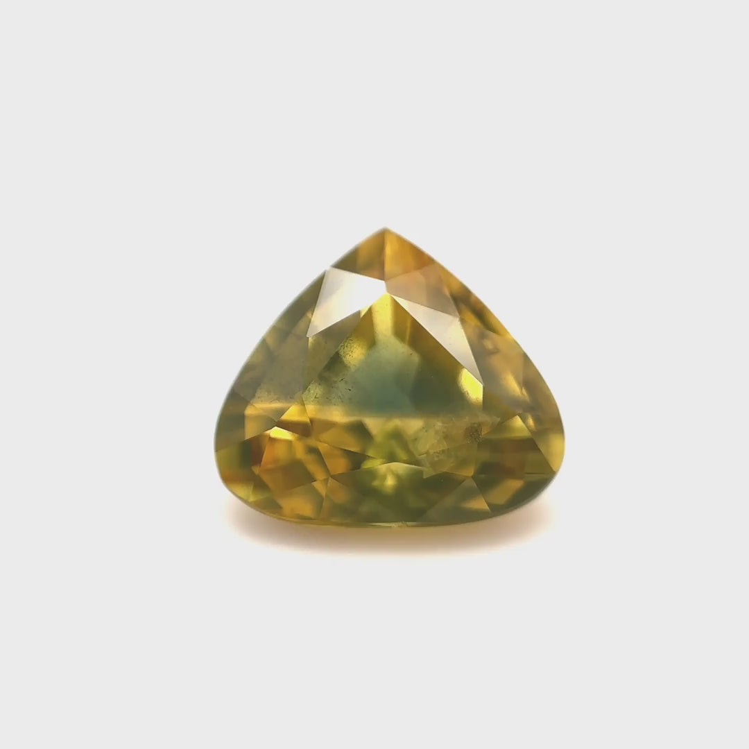Parti-Saphir - 3.12 ct | Waldlicht im Spätsommer
